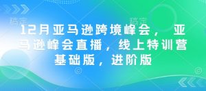 12月亚马逊跨境峰会， 亚马逊峰会直播，线上特训营基础版，进阶版-一米创业记