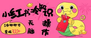 小红书冷知识账号，无脑复制粘贴，5分钟即可变现3张-一米创业记