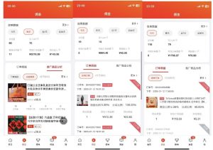 2025最新京东蓝海项目，0 门槛日入 1k+，小白宝妈轻松上手【揭秘】-一米创业记