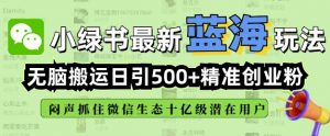 小绿书无脑搬运引流，全自动日引500精准创业粉，微信生态内又一个闷声发财的机会-一米创业记