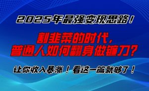 2025年最强变现思路，割韭菜的时代， 普通人如何翻身做镰刀？【揭秘】-一米创业记