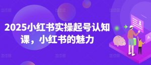 2025小红书实操起号认知课，小红书的魅力-一米创业记