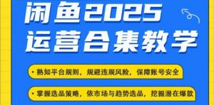 2025闲鱼电商运营全集，2025最新咸鱼玩法-一米创业记