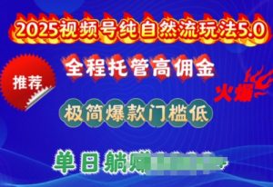 2025视频号纯自然流玩法5.0，全程托管高佣金，极简爆款门槛低，单日收益多张【揭秘】-一米创业记