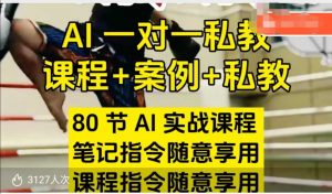 AI指令实战课,课程+案例,80节AI实战课程,笔记指令随意享用,课程指令随意享用-一米创业记