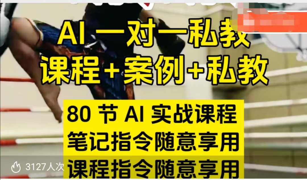 AI指令实战课,课程+案例,80节AI实战课程,笔记指令随意享用,课程指令随意享用-一米创业记