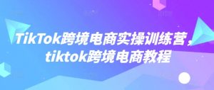 TikTok跨境电商实操训练营,tiktok跨境电商教程-一米创业记