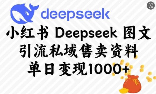 小红书Deepseek图文引流私域售卖资料，单日变现多张-一米创业记
