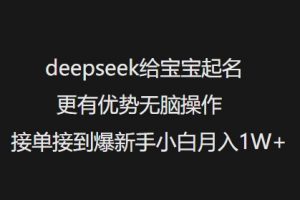 deepseek给宝宝起名更有优势无脑操作接单接到爆新手小白月入1W+-一米创业记