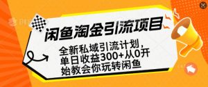 闲鱼淘金私域引流计划，从0开始玩转闲鱼，副业也可以挣到全职的工资-一米创业记