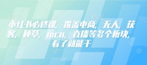 小红书必修课，覆盖电商，无人，获客，种草，mcn，直播等多个板块，看了就能干-一米创业记