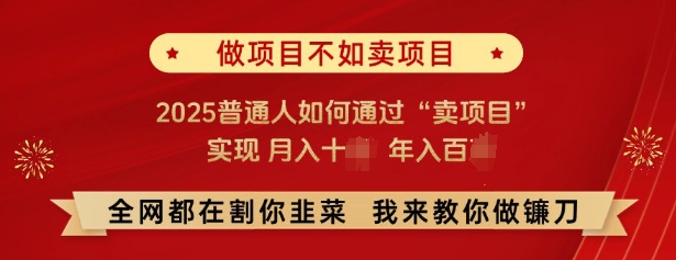 必看，做项目不如卖项目，2025普通人如何通过“卖项目”实现月入十个，年入百个-一米创业记
