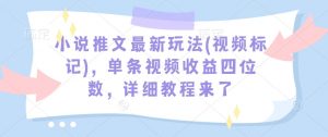 小说推文最新玩法(视频标记)，单条视频收益四位数，详细教程来了-一米创业记