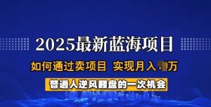 2025蓝海项目，普通人如何通过卖项目，实现月入过W，全过程【揭秘】-一米创业记