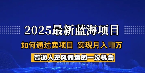 2025蓝海项目，普通人如何通过卖项目，实现月入过W，全过程【揭秘】-一米创业记