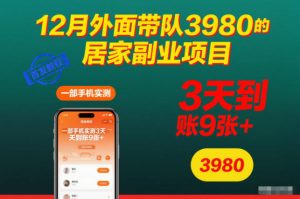 12月外面带队3980的居家副业项目，一部手机实测3天到账9张+，首发教程【揭秘】-一米创业记