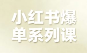 小红书爆单系列课，聚焦小红书电商全链路增长（更新）-一米创业记