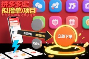 拼多多虚拟撸单项目，跳过选品和测试直接撸单-一米创业记