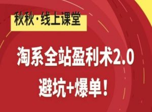 淘系全站盈利术2.0，避坑+爆单-一米创业记