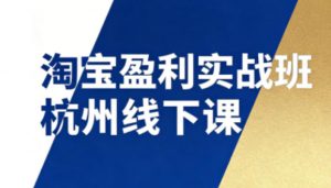 淘宝盈利实战班杭州线下课12月26-28日（音频+字幕），帮你掌握SOP流程+12门核心技术-一米创业记