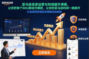 亚马逊卖家运营与利润提升课程，让你的每个SKU都成为爆款，让你的亚马逊利润一路飙升（更新12月）-一米创业记