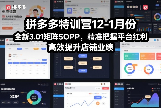 拼多多特训营12-1月份，全新3.01矩阵Sop，精准把握平台红利，高效提升店铺业绩-一米创业记