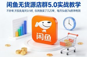 闲鱼无货源店群5.0实战教学，不补单，不投流，每天5小时，在闲鱼卖了几万单，每月5k到7k的净利润-一米创业记