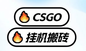 真全网独家CSGO挂G，最新玩法,单日捡漏1K+，不用电脑，不用打游戏【揭秘】-一米创业记