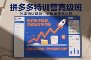 拼多多特训营高阶班，独家玩法赋能，突破运营天花板（更新26年1月）-一米创业记