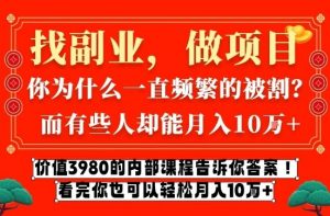 价值3980的网创内部课程，告诉你互联网创业月入10个W的秘密【揭秘】-一米创业记