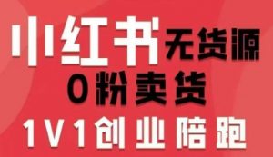 小红书无货源0粉电商课，开店准备、选品策略、笔记撰写、视频剪辑、数据分析、账号打造、资料文档（更新）-一米创业记
