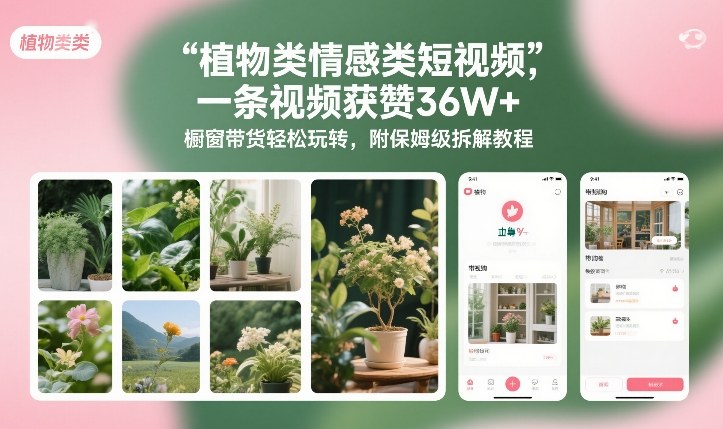 植物类情感类短视频，一条视频获赞36W+，橱窗带货轻松玩转，附保姆级拆解教程-一米创业记