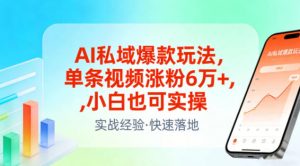 AI私域爆款玩法，单条视频涨粉6W+，小白也可实操-一米创业记