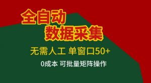 全自动数据采集，无需人工，单窗口50+，0成本可批量矩阵操作【揭秘】-一米创业记