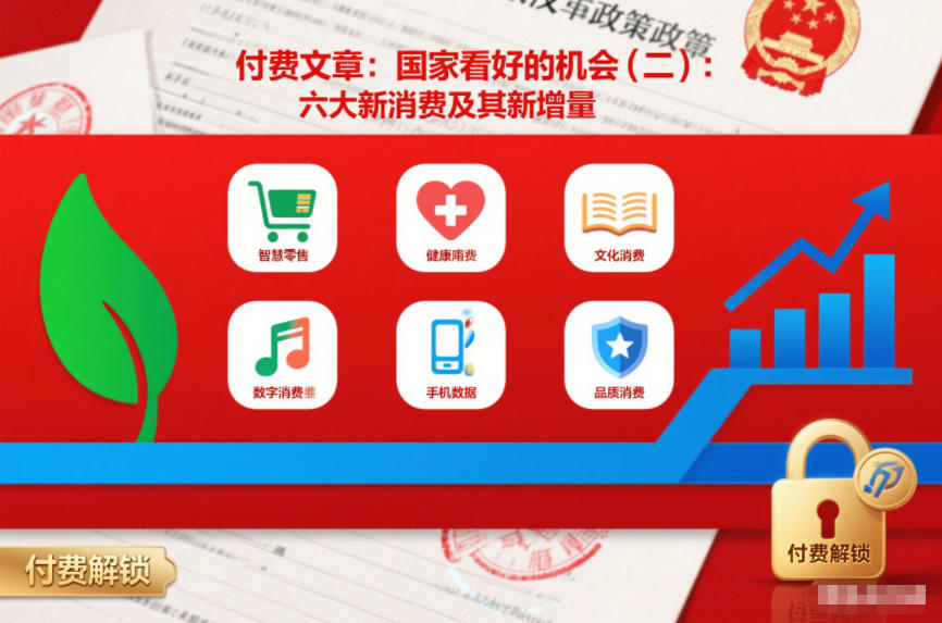 付费文章：国家看好的机会(二)：六大新消费及其新增量-一米创业记