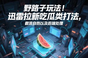 野路子玩法！迅雷拉新吃瓜类打法，截流自热以及后端处理-一米创业记