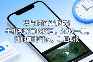 碎片时间就能做!手机视频审核项目,20秒一单,随时随地可做,单日4张+【揭秘】-一米创业记