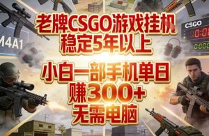 老牌CSGO游戏挂G,稳定5年以上,小白一部手机单日賺3张+,无需电脑【揭秘】-一米创业记
