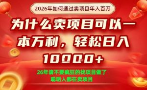 一单净利润1K+，26年想年入100个W，死磕卖项目就够了【揭秘】-一米创业记