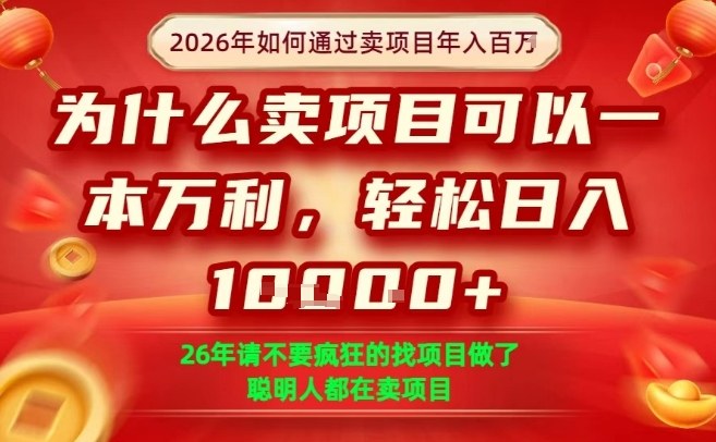 一单净利润1K+，26年想年入100个W，死磕卖项目就够了【揭秘】-一米创业记