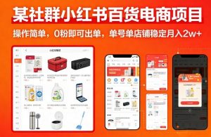 某社群小红书百货电商项目，操作简单，0粉即可出单，单号单店铺稳定月入2w+-一米创业记