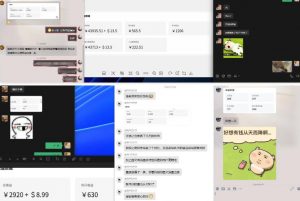 雷神加速器项目模拟器_无脑1分钟1条视频矩阵_疯狂报单打法【焚诀】-一米创业记
