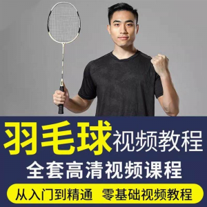 羽毛球视频教程少儿童成人零基础自学课程战术训练教学技巧培训-淘宝虚拟宝库