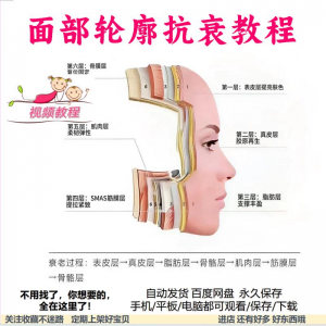 美商课程面部轮廓抗衰美肤减龄变美视频教程形象管理内在美好气色-淘宝虚拟宝库
