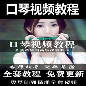 口琴自学教程视频零基础初学者入门到专业十孔24孔教学-淘宝虚拟宝库