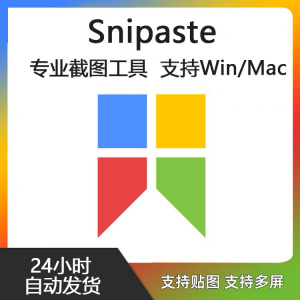 Snipaste for Mac 电脑截图贴图工具 支持Windows 苹果系统-淘宝虚拟宝库