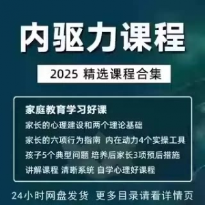 内驱力培训课程培养孩子自觉性提升内在亲子教育学习电子版资料-淘宝虚拟宝库