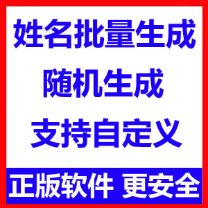 姓名批量生成工具 用户名随机不重复生成软件 可自定义-淘宝虚拟宝库