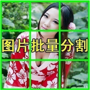 图片批量切割软件 图片批量分割工具 批量切图器 图片批量裁剪-淘宝虚拟宝库