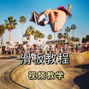 长板滑板双翘滑板教学视频教程初学者新手零基础入门自学花样刷街-淘宝虚拟宝库